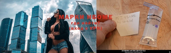 гашик Богданович