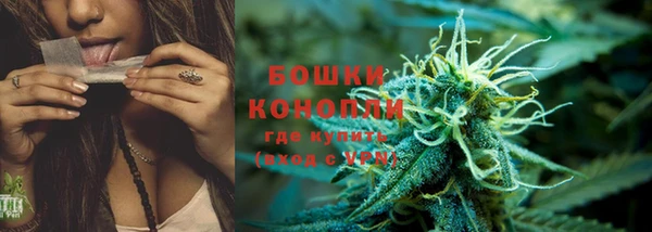 гашик Богданович