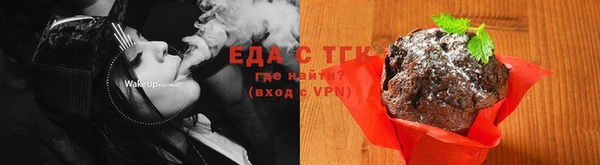 гашик Богданович