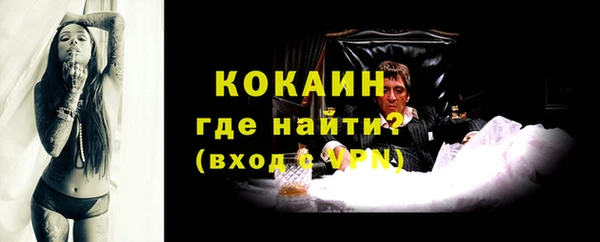 гашик Богданович