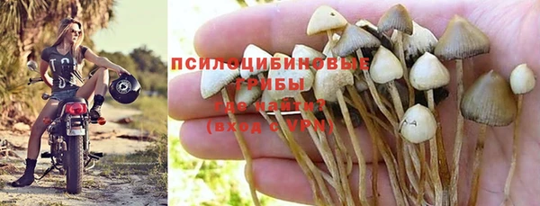 экстази Богородск